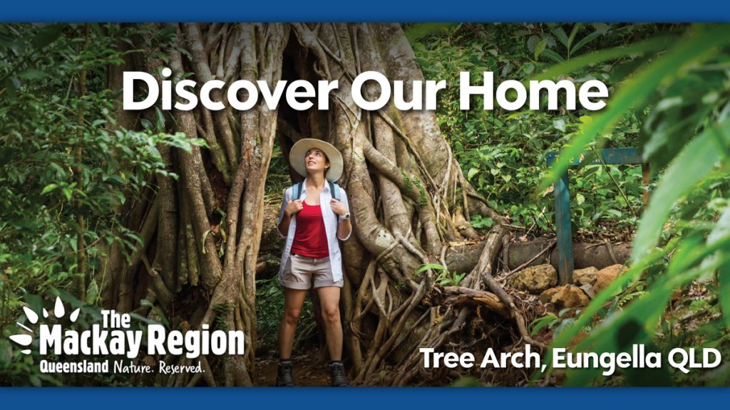 The Mackay Region Tree Arch Eungella Billboard Campaign Graphic Design by Bishopp