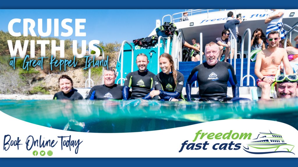 Freedom Fast Cats Great Keppel Island Billboard Campaign Graphic Design by Bishopp